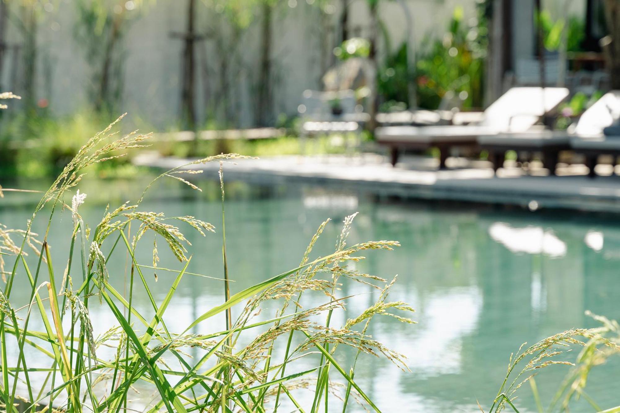 เลอ จันทุ บูทิก Hotel เสียมราฐ ภายนอก รูปภาพ